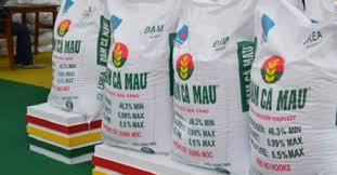 Sản phẩm của Phân bón Cà Mau được tiêu thụ với số lượng lớn Sản phẩm của Phân bón Cà Mau được tiêu thụ với số lượng lớn