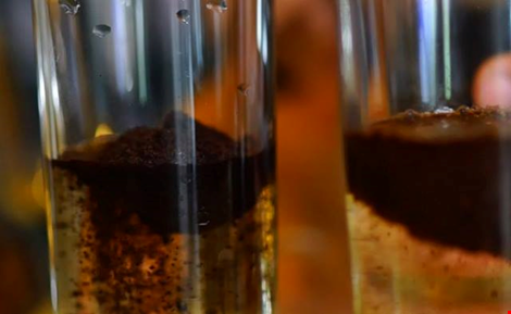 Cách nhận biết cà phê nguyên chất cực dễ và hiệu quả ảnh 1 Cách nhận biết cà phê nguyên chất cực dễ và hiệu quả ảnh 1