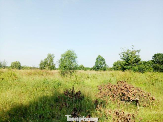 Trong tổng 145ha chỉ một phần làm sân golf còn lại bỏ hoang