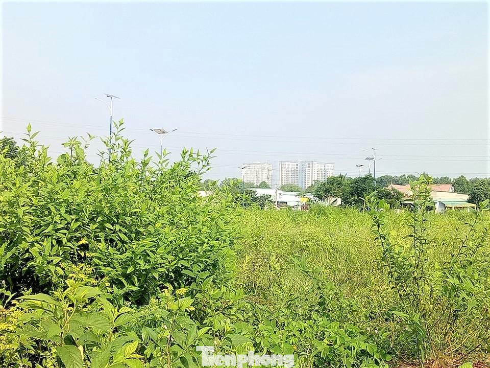 Trao đổi với PV Tiền Phong ngày 26/3, đại diện lãnh đạo Sở Xây dựng tỉnh Bình Dương cho biết, đến nay dự án Khu nhà ở Đại Nam vẫn chưa hoàn thiện các thủ tục pháp lý theo quy định. Do đó, dự án chưa có tên trong danh sách được mở bán theo quy định.