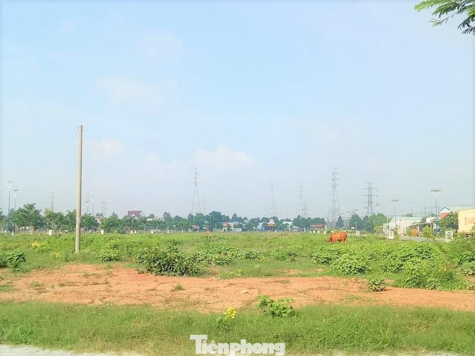 Với vị trí đắc địa nằm trong tổng thể Khu liên hợp Công nghiệp - Dịch vụ - Đô thị Bình Dương, dự án từng được kỳ vọng sẽ trở thành nơi đáng sống và đầu tư sinh lợi bậc nhất tại Bình Dương cho khoảng 20.000 người, hướng đến người lao động. Tuy nhiên, với vị trí “đất vàng”, để sở hữu lô đất, căn hộ tại dự án chỉ phù hợp với người có thu nhập cao.