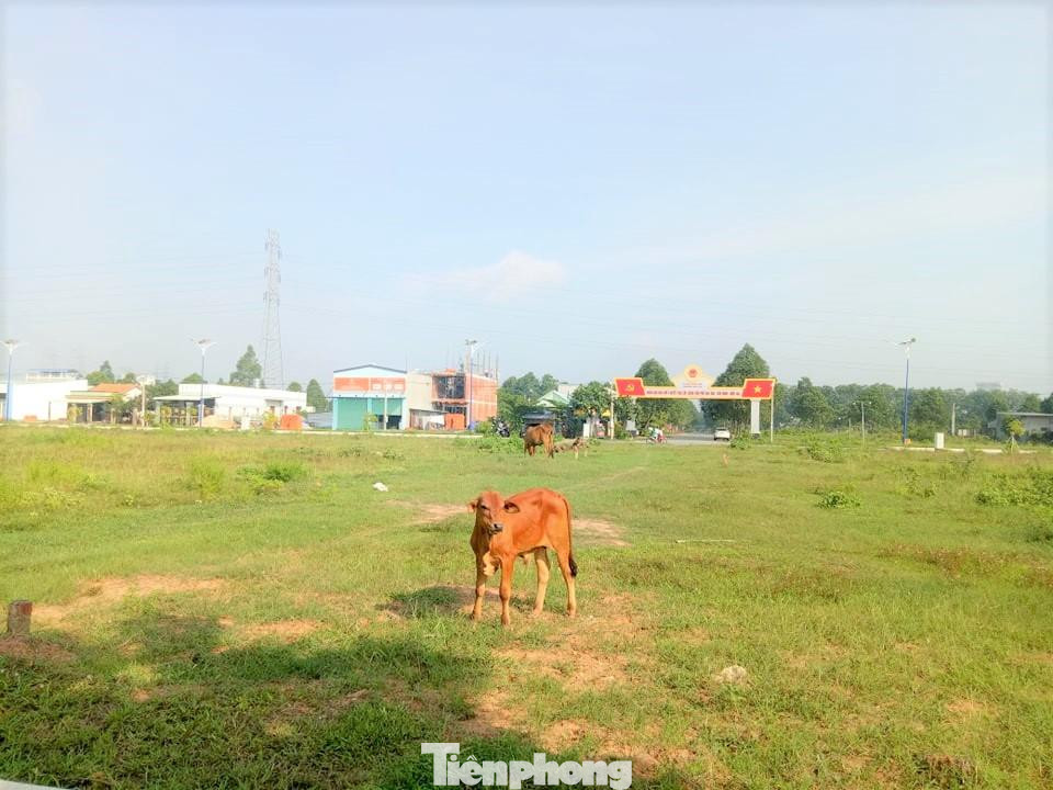 Vào thời điểm đó, Bộ Kế hoạch và Đầu tư thống nhất với đề nghị điều chỉnh giảm diện tích quy hoạch của UBND tỉnh Bình Dương cho phù hợp với quy hoạch chung xây dựng, quy hoạch sử dụng đất và để dành đất cho phát triển khu dân cư phục vụ người lao động trong khu công nghiệp.