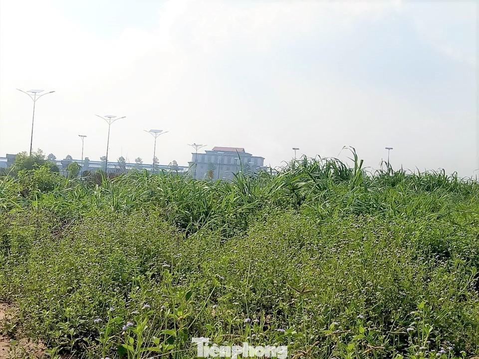 Vào thời điểm giữa năm 2019, dù chưa được cấp phép nhưng Công ty Cổ phần Đại Nam đã tổ chức xây dựng nên bị Thanh tra Sở Xây dựng Bình Dương ban hành quyết định xử phạt vi phạm hành chính.