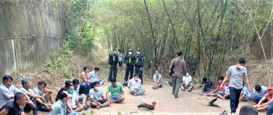 Hiện trường vụ đá gà bị cảnh sát bao vây