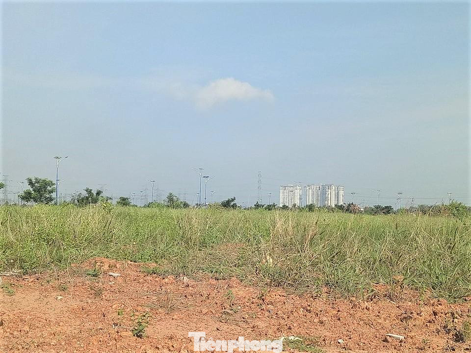 Theo tìm hiểu của PV Tiền Phong, năm 2021, Công ty Cổ phần Đại Nam đã thế chấp 309 Giấy chứng nhận Quyền sử dụng đất (sổ đỏ) dự án Khu nhà ở Đại Nam tại Văn phòng Đăng ký đất đai tỉnh Bình Dương.