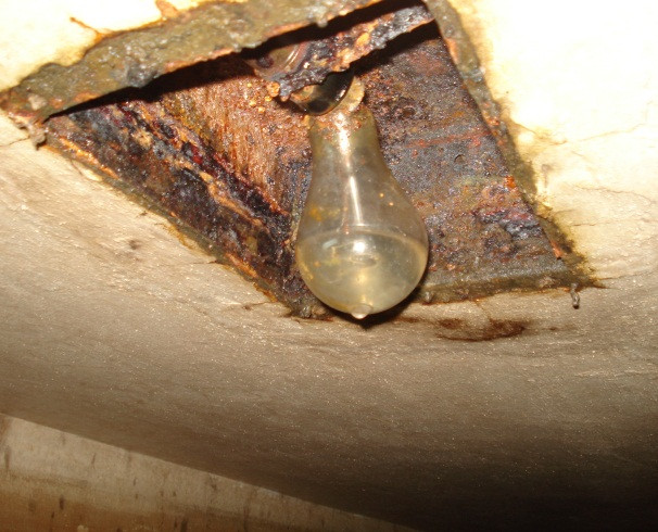 Một bóng điện gắn trên trần hầm