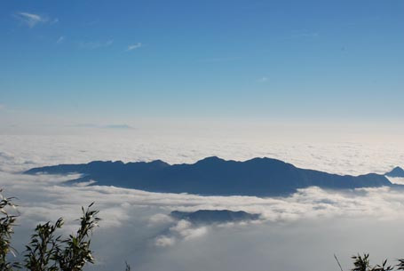 Đại ngàn Hoàng Liên Sơn chìm trong mây mù có rất nhiều dược liệu quý 