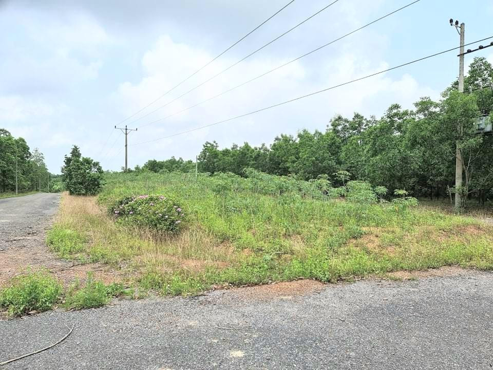 Dự án tái định cử ở đồi Hàm Rồng gần 30 tỷ đồng bị bỏ hoang nhiều năm nay. Dự án tái định cử ở đồi Hàm Rồng gần 30 tỷ đồng bị bỏ hoang nhiều năm nay.