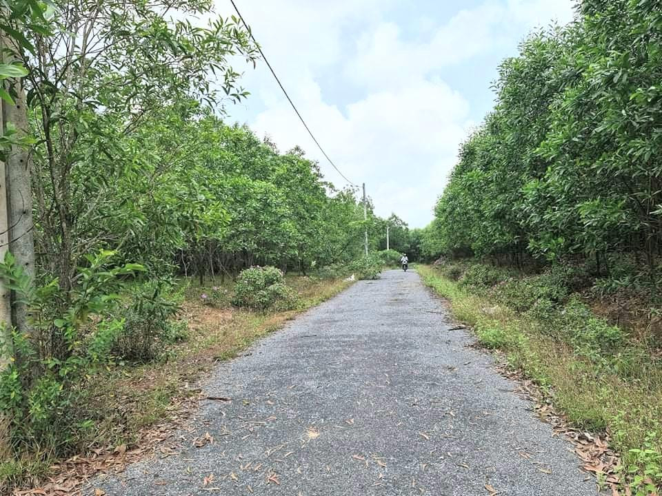 Hạ tầng của khu tái định cư đến thời điểm hiện tại chỉ có một số đoạn đường nhựa và cột, dây điện Hạ tầng của khu tái định cư đến thời điểm hiện tại chỉ có một số đoạn đường nhựa và cột, dây điện