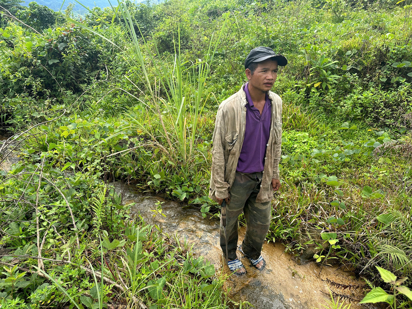 Vườn của ông A Bình có khoảng 600 cây keo hơn 3 năm tuổi bị chết do ngập nước Vườn của ông A Bình có khoảng 600 cây keo hơn 3 năm tuổi bị chết do ngập nước