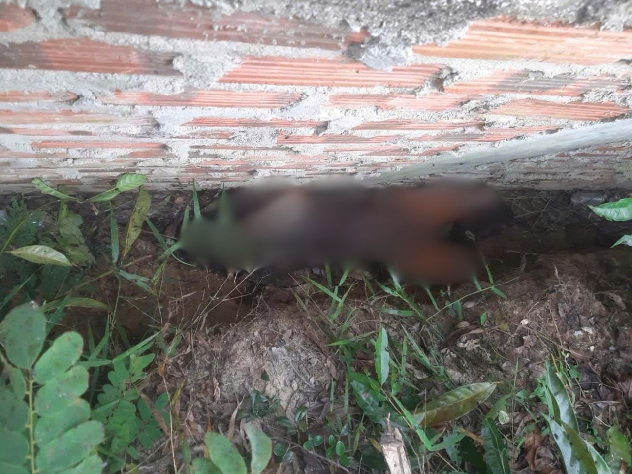 Thi thể được tìm thấy đang trong quá trình phân hủy