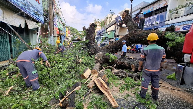 Lực lượng chức năng đang cắt tỉa cây để thông đường Lực lượng chức năng đang cắt tỉa cây để thông đường