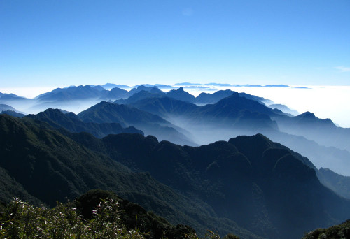 Ảnh: Reds.vn Ảnh: Reds.vn