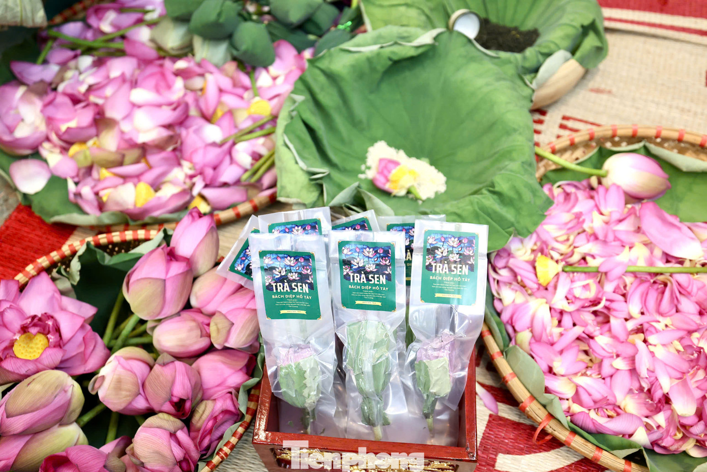 Loại trà xổi ướp trong bông sen có giá khoảng 30.000 đến 50.000 đồng/bông. Đây cũng được xem là loại trà có giá đắt đỏ bậc nhất chỉ dành cho giới nhà giàu. Loại trà xổi ướp trong bông sen có giá khoảng 30.000 đến 50.000 đồng/bông. Đây cũng được xem là loại trà có giá đắt đỏ bậc nhất chỉ dành cho giới nhà giàu.