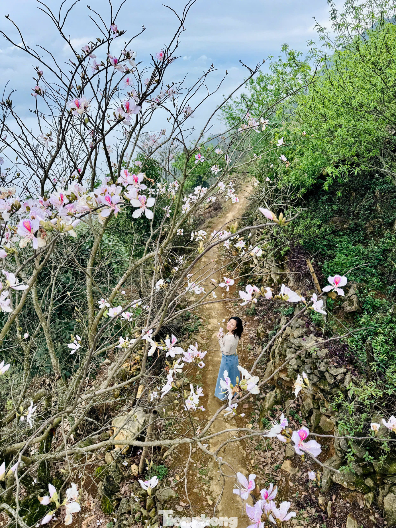 Mỗi mùa ở Hang Kia đây đều mang những vẻ đẹp riêng. Đến Hang Kia Pà Cò vào mùa xuân, du khách sẽ được chiêm ngưỡng những vườn hoa đào, hoa ban nở rộ, trải dài khắp các triền đồi. Đây là dịp để lưu giữ những bức ảnh tuyệt đẹp trong không gian hoa rực rỡ giữa núi rừng Tây Bắc.