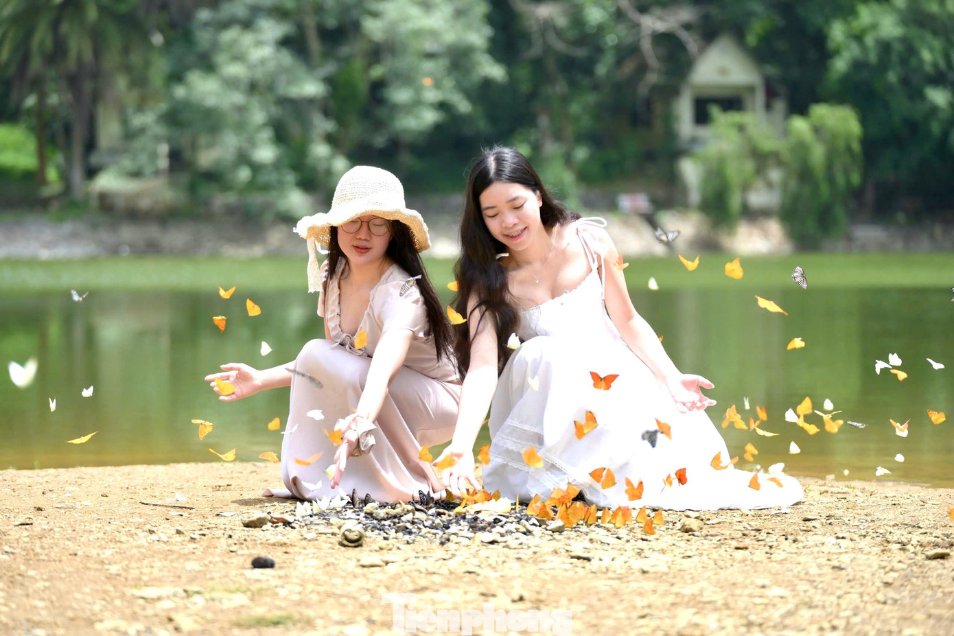 Nhiếp ảnh gia Huy Hoàng vừa có chuyến du lịch, khám phá Vườn quốc gia Cúc Phương chia sẻ: "Thật ra ban đầu tôi chỉ định đến Cúc Phương để thư giãn và tìm cảm hứng mới sáng tác. Nhưng khoảnh khắc thấy hàng ngàn con bướm bay rợp trời, tôi như bị "hút hồn", cảm giác như bước vào một thế giới cổ tích. Cảnh tượng ấy vừa mong manh, vừa kỳ diệu, khiến tôi ngay lập tức muốn cầm máy lên và lưu giữ nó bằng ống kính của mình nhiều lần".