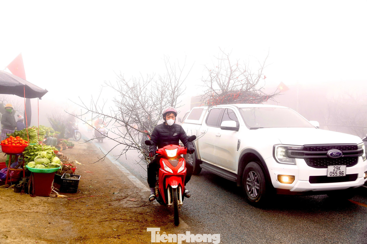 Những cành đào được bó gọn lại cẩn thận, chằng buộc kỹ lên xe và chuyển về những tỉnh miền xuôi như Hà Nội, Hưng Yên, Hà Nam....phục vụ nhu cầu người dân chơi Tết. Những cành đào được bó gọn lại cẩn thận, chằng buộc kỹ lên xe và chuyển về những tỉnh miền xuôi như Hà Nội, Hưng Yên, Hà Nam....phục vụ nhu cầu người dân chơi Tết.