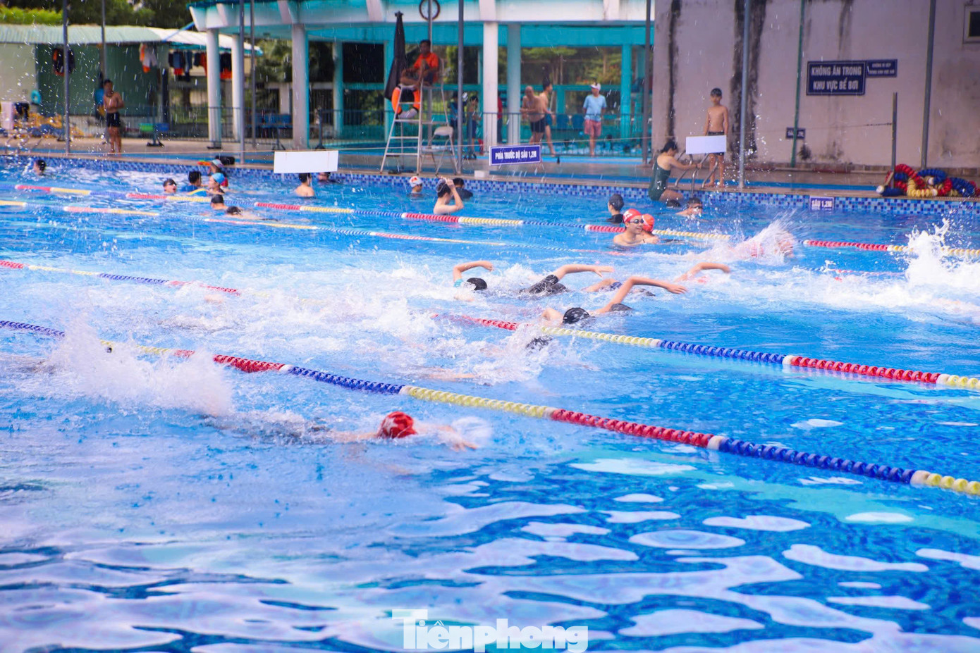 Anh đã thành công biến hàng ngàn bé từ không biết bơi thành các kình ngư nhí có thể bơi liên tục cả chục km. Điều đặc biệt, người thầy 48 tuổi này với biệt danh “Thủy béo” hướng dẫn các em bằng tất cả tình yêu, niềm đam mê, và hoàn toàn miễn phí.