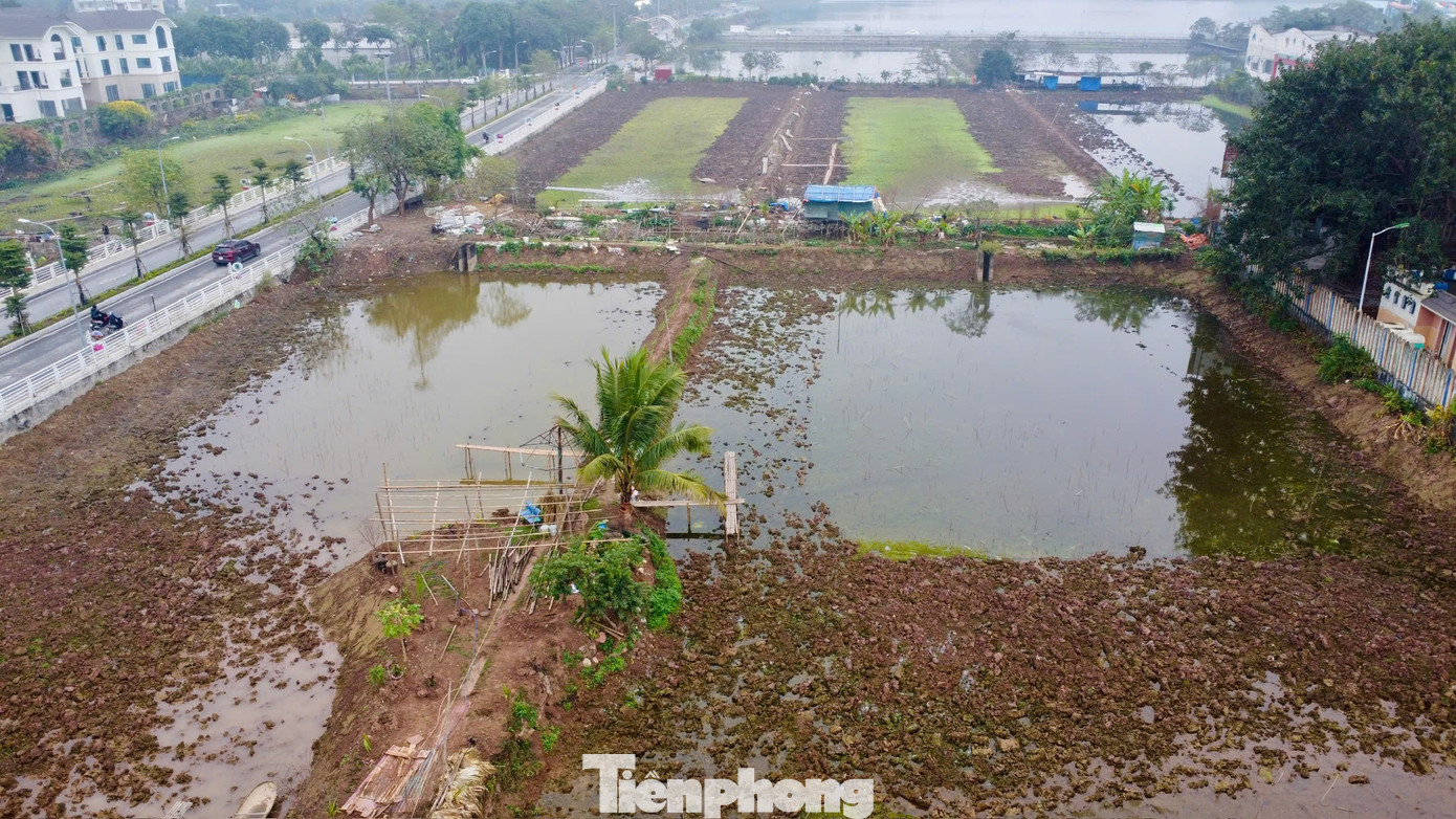 Thông tin về hồ Sen, vị này cho biết, hồ có diện tích khoảng 5,2ha, được Sở Tài nguyên và Môi trường Hà Nội giao cho Công ty Cổ phần đầu tư khai thác Hồ Tây thuê 20 năm. Đơn vị này sử dụng và trả tiền thuê đất hàng năm. Thông tin về hồ Sen, vị này cho biết, hồ có diện tích khoảng 5,2ha, được Sở Tài nguyên và Môi trường Hà Nội giao cho Công ty Cổ phần đầu tư khai thác Hồ Tây thuê 20 năm. Đơn vị này sử dụng và trả tiền thuê đất hàng năm.