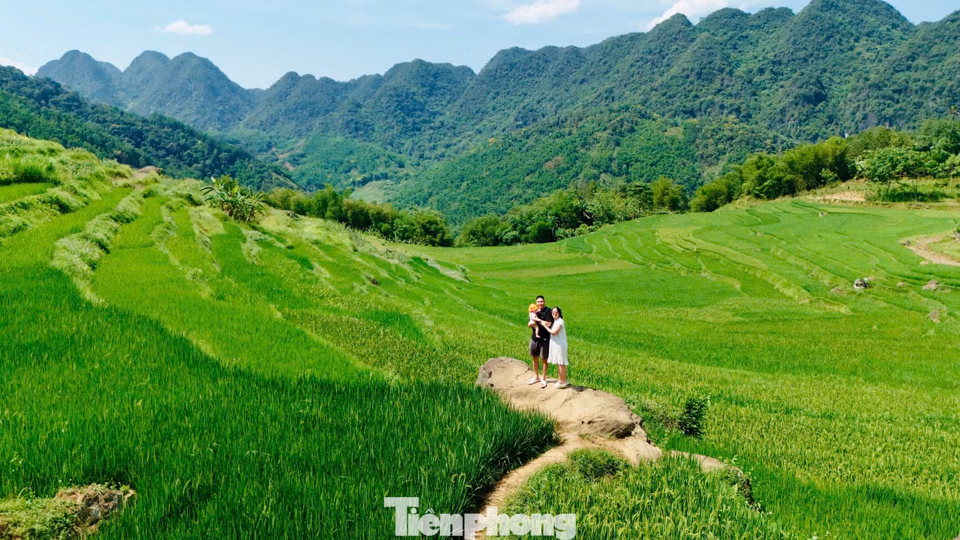 Đến Pù Luông vào những ngày đầu tháng 5, du khách sẽ có dịp ngắm những thửa ruộng bậc thang xanh mướt của lúa non uốn lượn quanh sườn núi. Cảnh sắc hùng vĩ, nên thơ khiến nơi đây trở thành điểm đến lý tưởng cho du khách muốn tìm về với thiên nhiên nguyên sơ và tận hưởng nhịp sống chậm rãi, an lành.