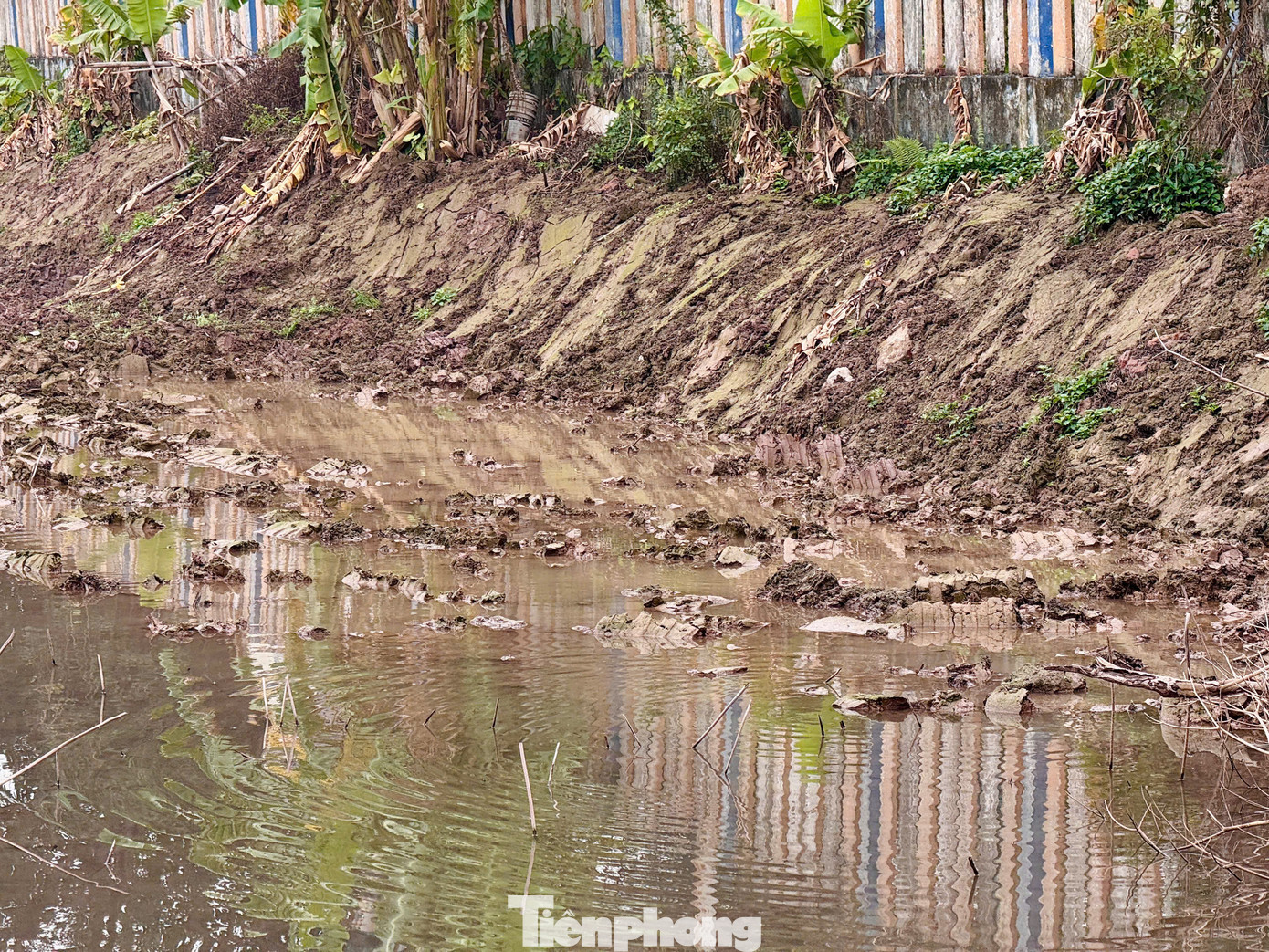 Thông tin về hồ Sen, vị này cho biết, hồ có diện tích khoảng 5,2ha, được Sở Tài nguyên và Môi trường Hà Nội giao cho Công ty Cổ phần đầu tư khai thác Hồ Tây thuê 20 năm. Đơn vị này sử dụng và trả tiền thuê đất hàng năm. Thông tin về hồ Sen, vị này cho biết, hồ có diện tích khoảng 5,2ha, được Sở Tài nguyên và Môi trường Hà Nội giao cho Công ty Cổ phần đầu tư khai thác Hồ Tây thuê 20 năm. Đơn vị này sử dụng và trả tiền thuê đất hàng năm.