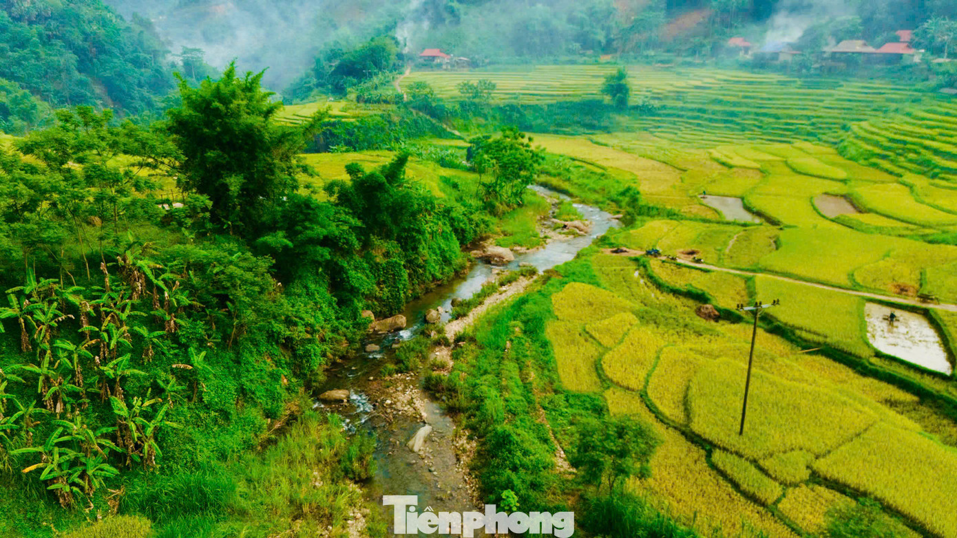 Mùa lúa chín ở Pù Luông không chỉ là mùa của no ấm mà còn là mùa của cảm xúc và những trải nghiệm khó quên với du khách. Mùa lúa chín ở Pù Luông không chỉ là mùa của no ấm mà còn là mùa của cảm xúc và những trải nghiệm khó quên với du khách.