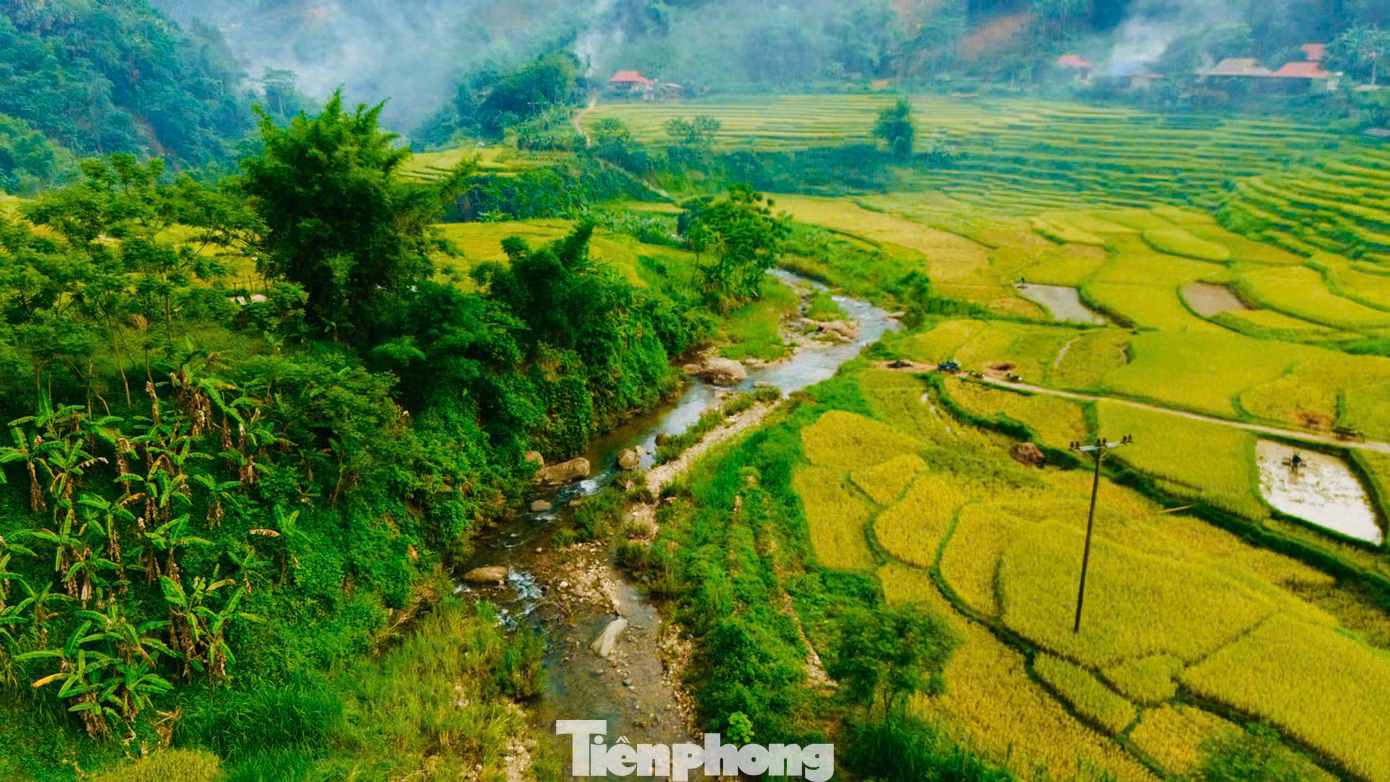 Mùa lúa chín ở Pù Luông không chỉ là mùa của no ấm mà còn là mùa của cảm xúc và những trải nghiệm khó quên với du khách.