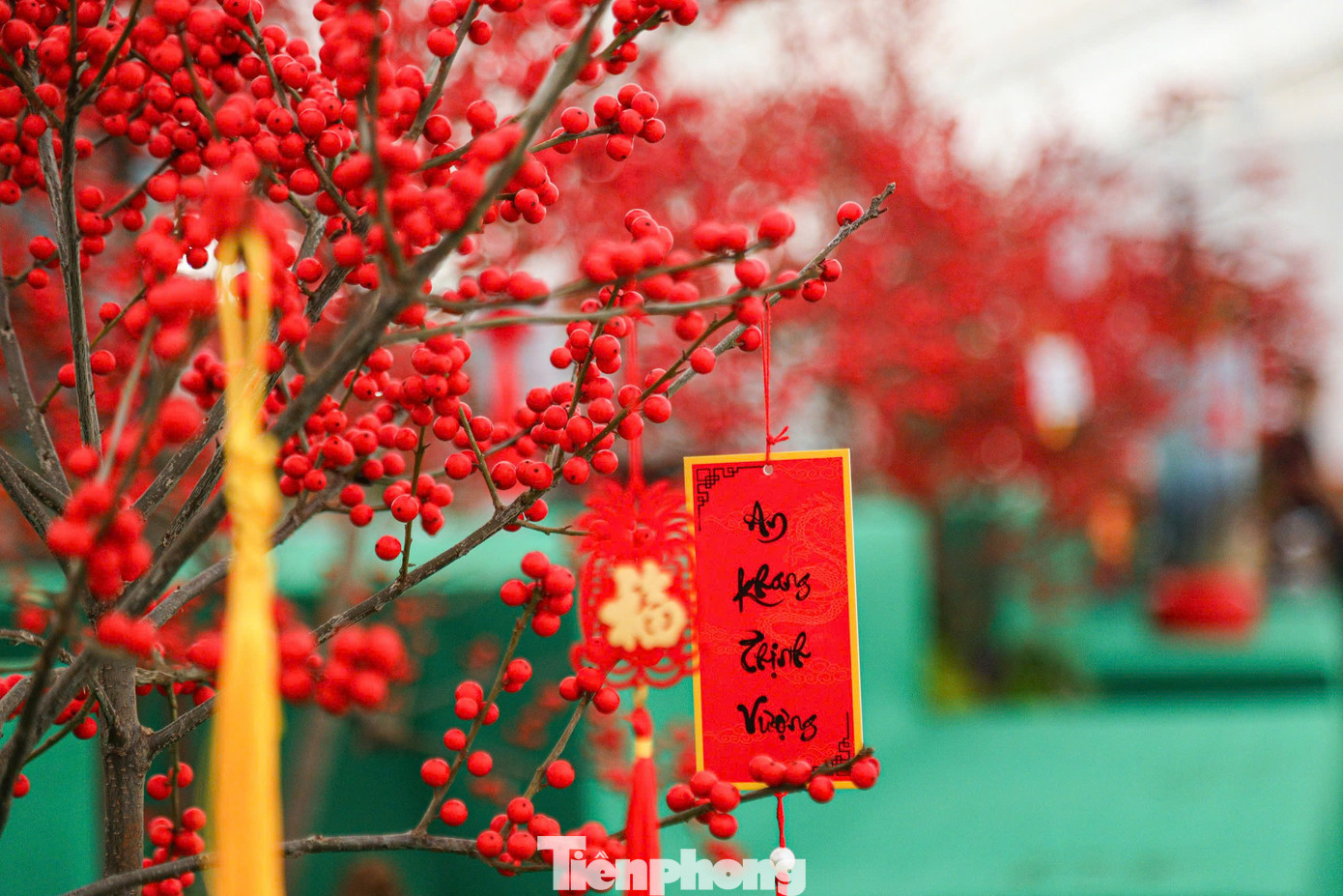 Các nghệ nhân còn khéo léo tạo ra những cây xanh nhỏ hoặc tiểu cảnh để trang trí thêm, nâng cao tính thẩm mỹ, phục vụ đa dạng nhu cầu của khách hàng.