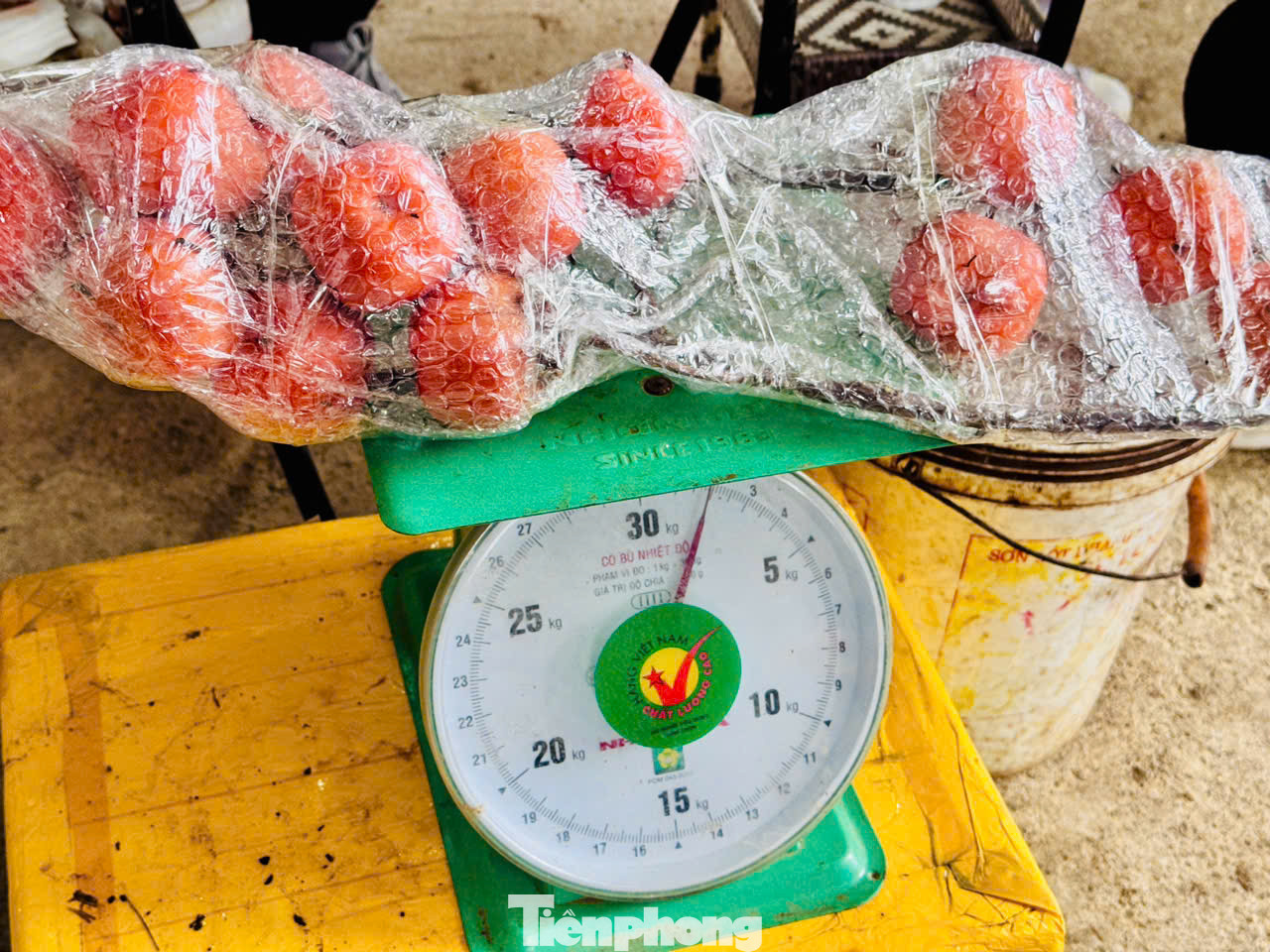 Các cành hồng được gói bọc cẩn thận để chống gẫy, rụng quả. Trung bình 1 lọ hồng cắm chơi Tết tầm 4 đến 5 kg, khoảng 800.000 đến 1 triệu đồng.