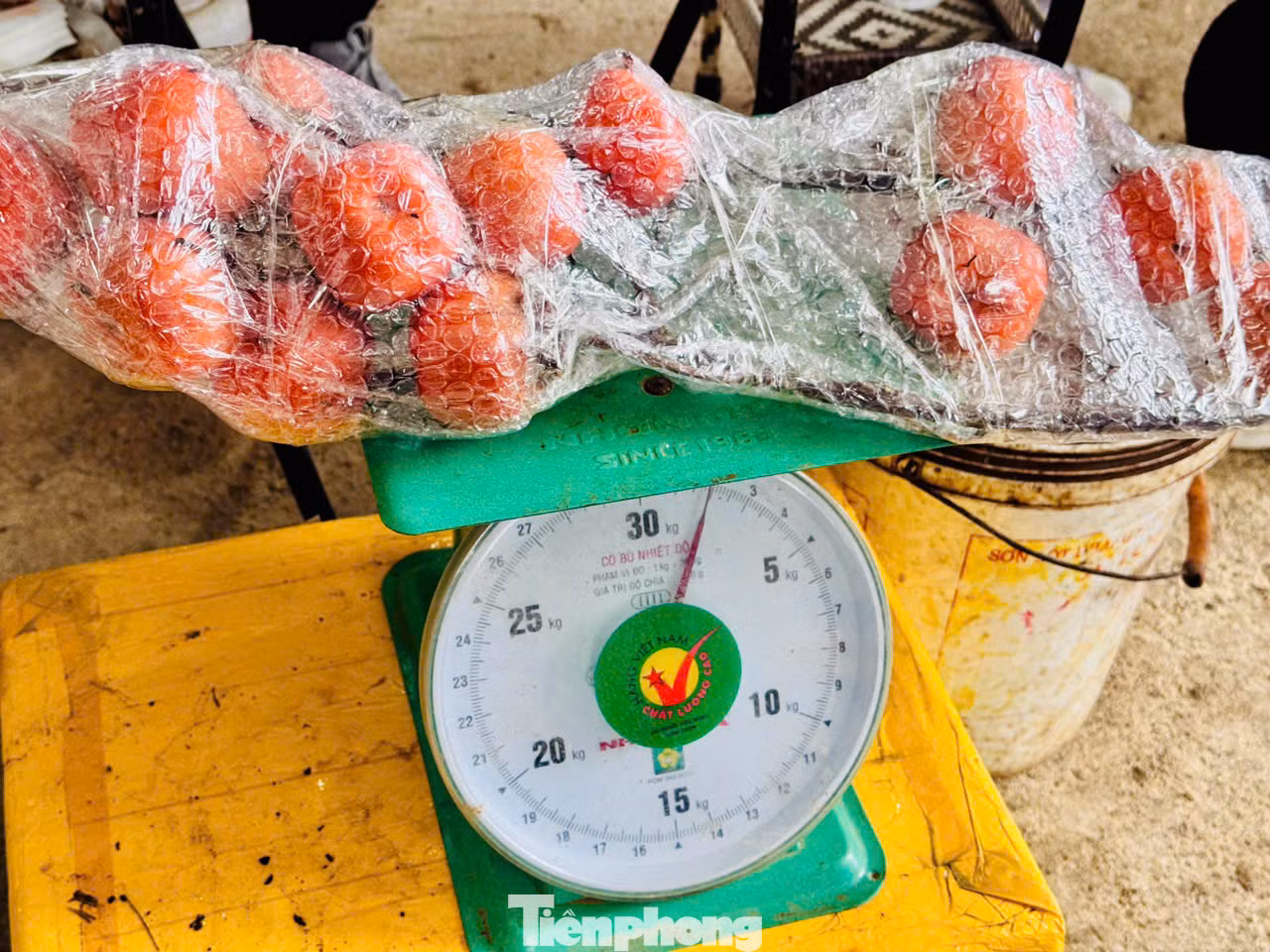 Các cành hồng được gói bọc cẩn thận để chống gẫy, rụng quả. Trung bình 1 lọ hồng cắm chơi Tết tầm 4 đến 5 kg, khoảng 800.000 đến 1 triệu đồng.