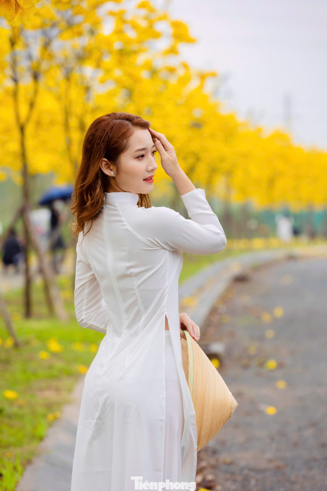 Sắc vàng nổi bật của loài hoa này nhanh chóng thu hút nhiều nàng thơ đến thả dáng tạo hình chụp ảnh.