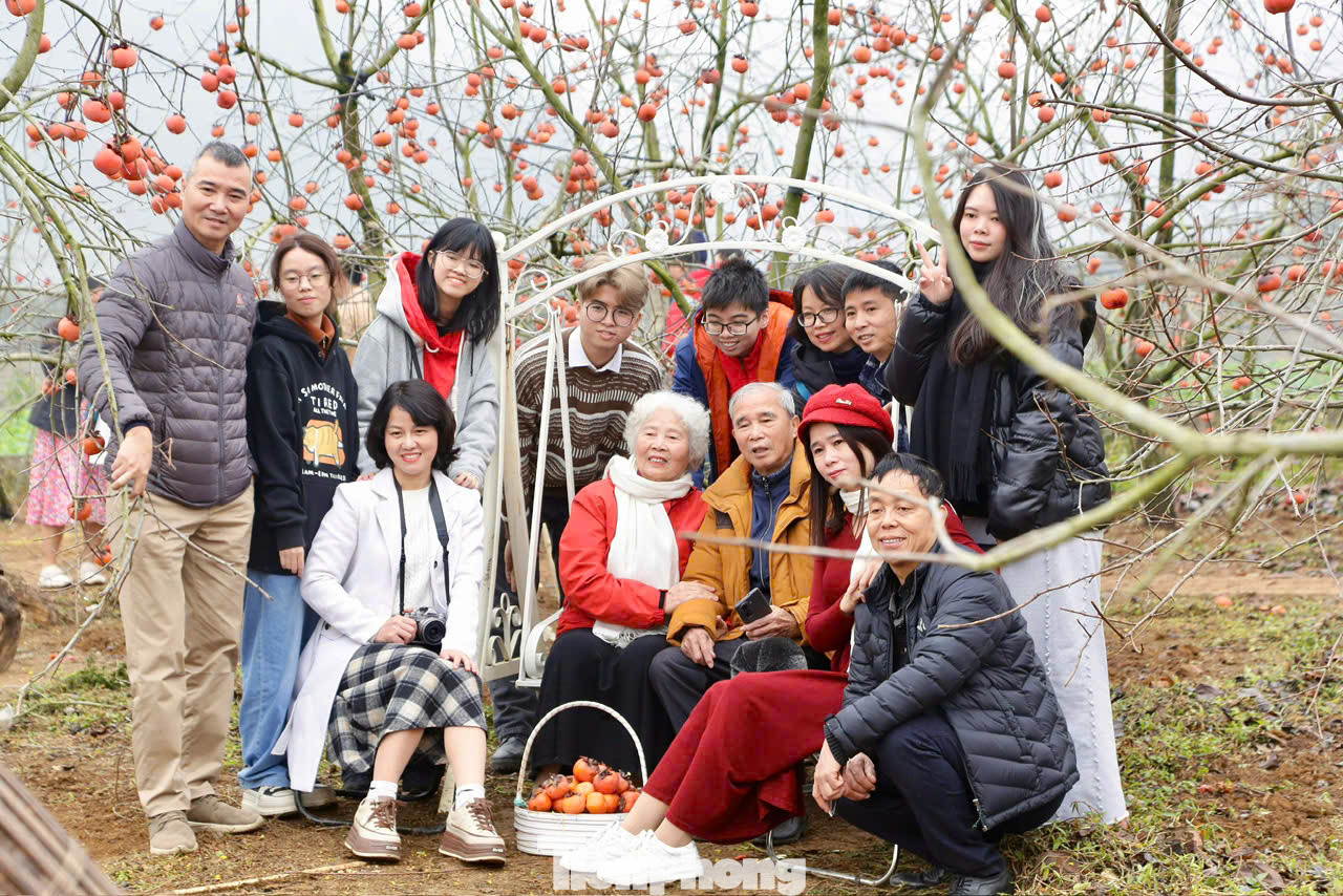 Cận Tết cũng là thời điểm hút du khách đến tham quan, trải nghiệm vườn hồng trên cao nguyên Mộc Châu.