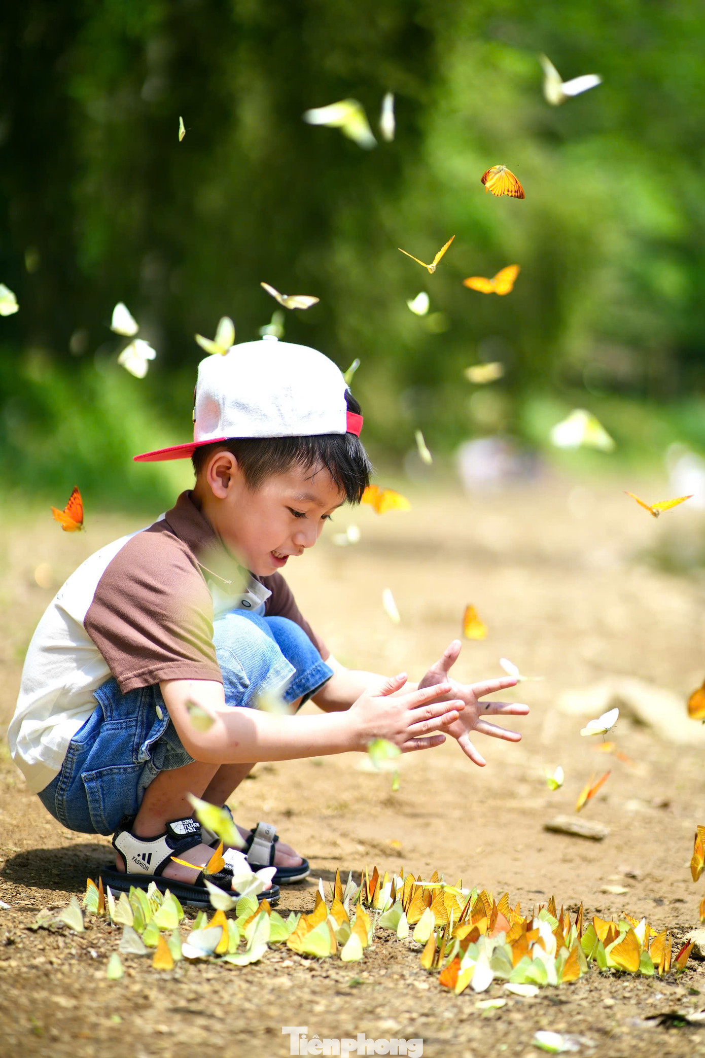 Nhiều gia đình tranh thủ cuối tuần đưa các bạn nhỏ về khám phá thiên nhiên, tận hưởng không khí trong lành ở nơi đây.