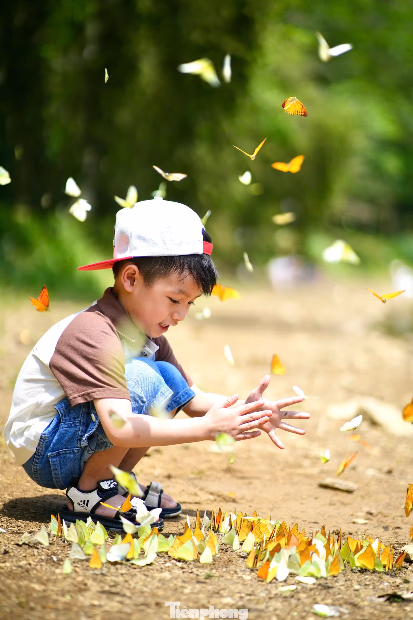 Nhiều gia đình tranh thủ cuối tuần đưa các bạn nhỏ về khám phá thiên nhiên, tận hưởng không khí trong lành ở nơi đây.