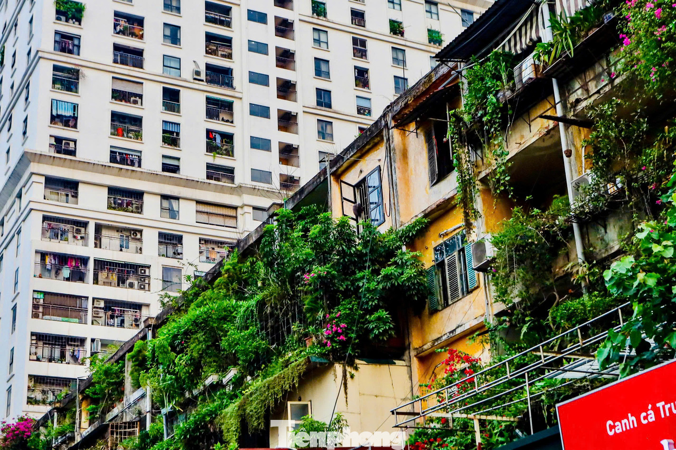 Những khu nhà tập thể cũ kỹ, xuống cấp, nhưng đầy ắp ký ức và sự gắn kết cộng đồng của người dân nơi đây.