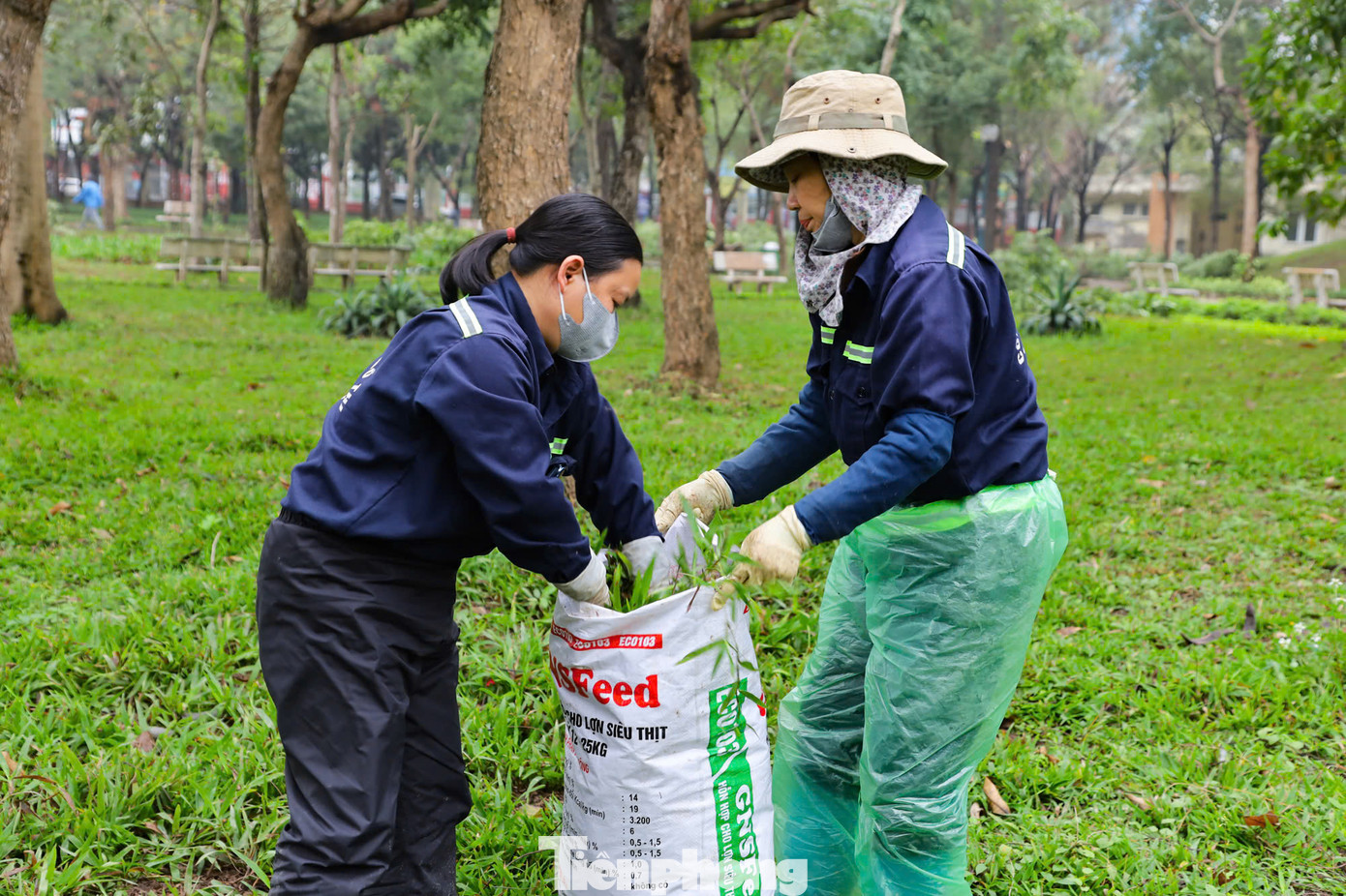 Công nhân đang tập trung đánh chuyển một phần cây xanh trong công viên để lấy không gian thực hiện các hạng mục cải tạo theo thiết kế đã được phê duyệt.