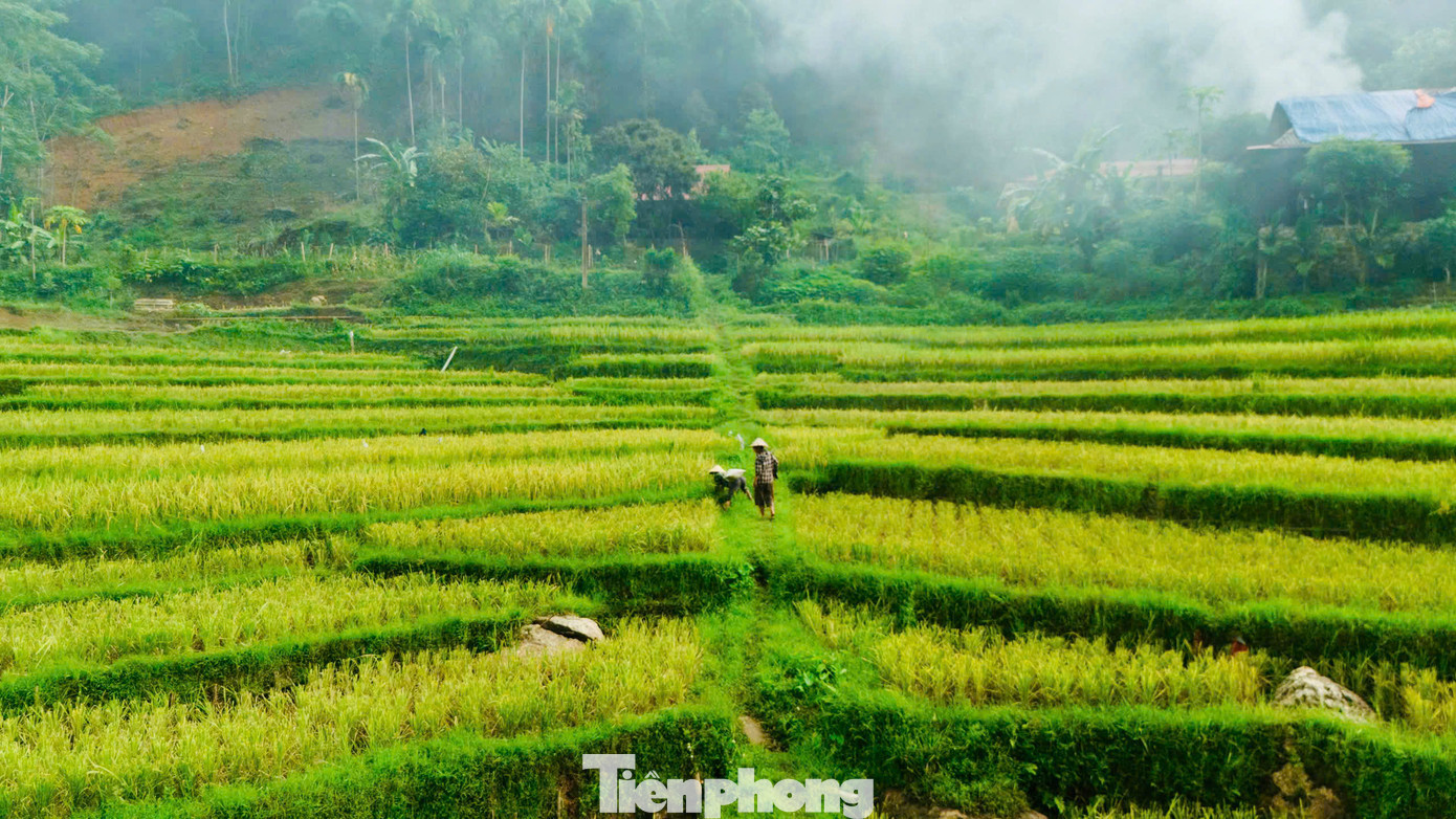 Pù Luông mang đậm nét đẹp của miền núi cao Tây Bắc với ruộng bậc thang lớp lớp, mây núi trùng điệp, mang nét đẹp mờ ảo, hoang sơ đến mê người. Pù Luông mang đậm nét đẹp của miền núi cao Tây Bắc với ruộng bậc thang lớp lớp, mây núi trùng điệp, mang nét đẹp mờ ảo, hoang sơ đến mê người.