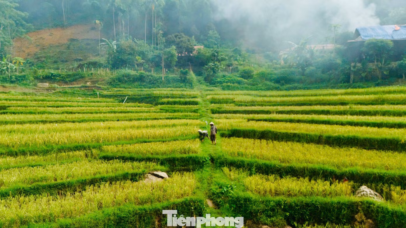 Pù Luông mang đậm nét đẹp của miền núi cao Tây Bắc với ruộng bậc thang lớp lớp, mây núi trùng điệp, mang nét đẹp mờ ảo, hoang sơ đến mê người.