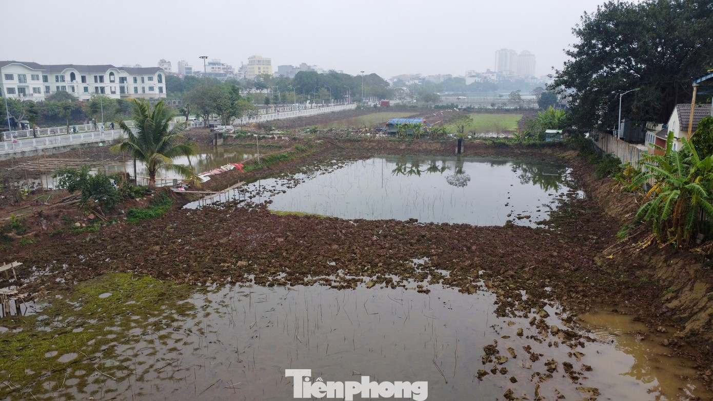 Thông tin về hồ Sen, vị này cho biết, hồ có diện tích khoảng 5,2ha, được Sở Tài nguyên và Môi trường Hà Nội giao cho Công ty Cổ phần đầu tư khai thác Hồ Tây thuê 20 năm. Đơn vị này sử dụng và trả tiền thuê đất hàng năm. Thông tin về hồ Sen, vị này cho biết, hồ có diện tích khoảng 5,2ha, được Sở Tài nguyên và Môi trường Hà Nội giao cho Công ty Cổ phần đầu tư khai thác Hồ Tây thuê 20 năm. Đơn vị này sử dụng và trả tiền thuê đất hàng năm.