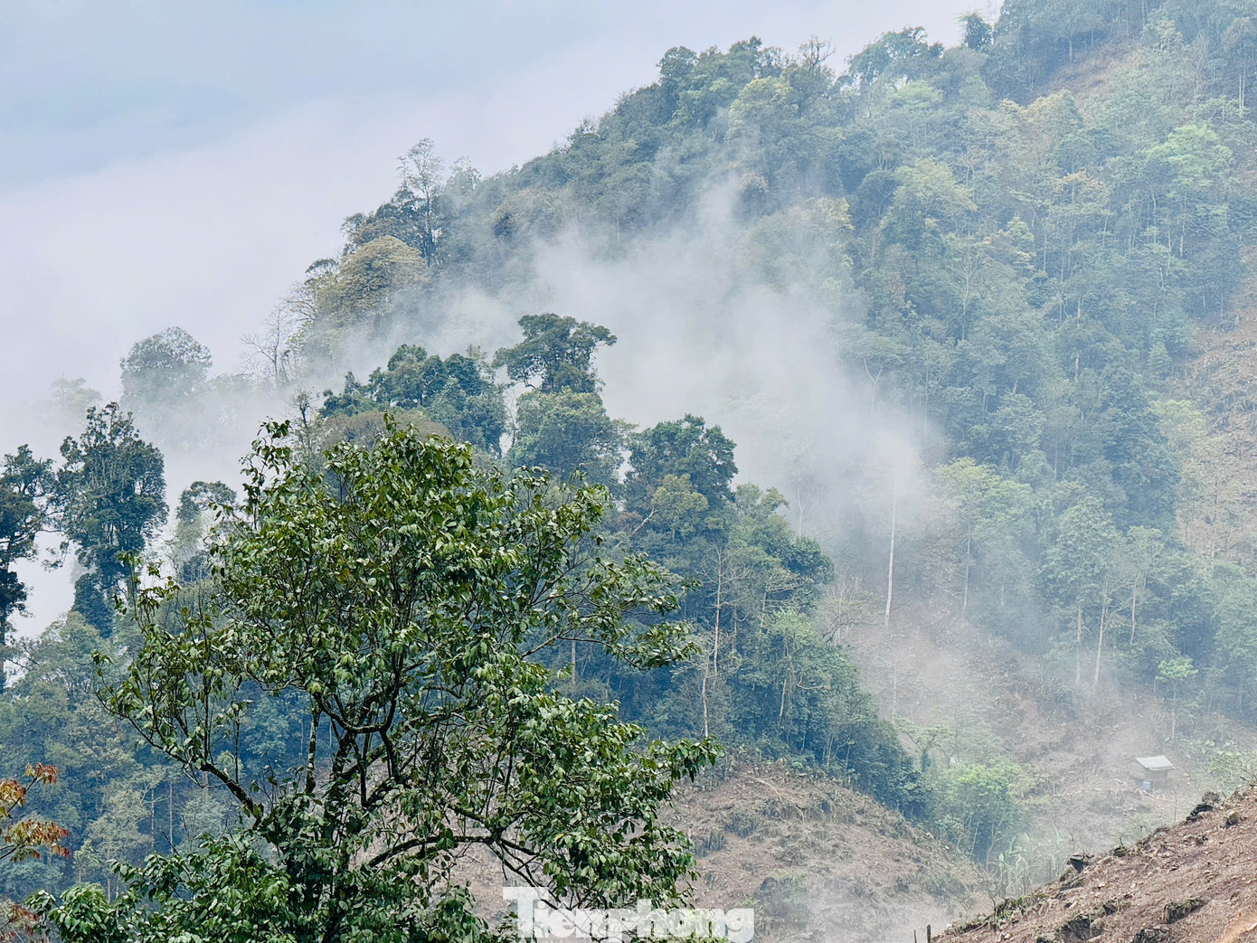 Với địa hình nằm ở độ cao hơn 1.000m, Hang Kia là một trong những điểm săn mây đẹp nhất miền Bắc. Biển mây bồng bềnh xuất hiện từ sáng sớm đến gần trưa, tạo nên cảnh tượng ngoạn mục, ấn tượng.