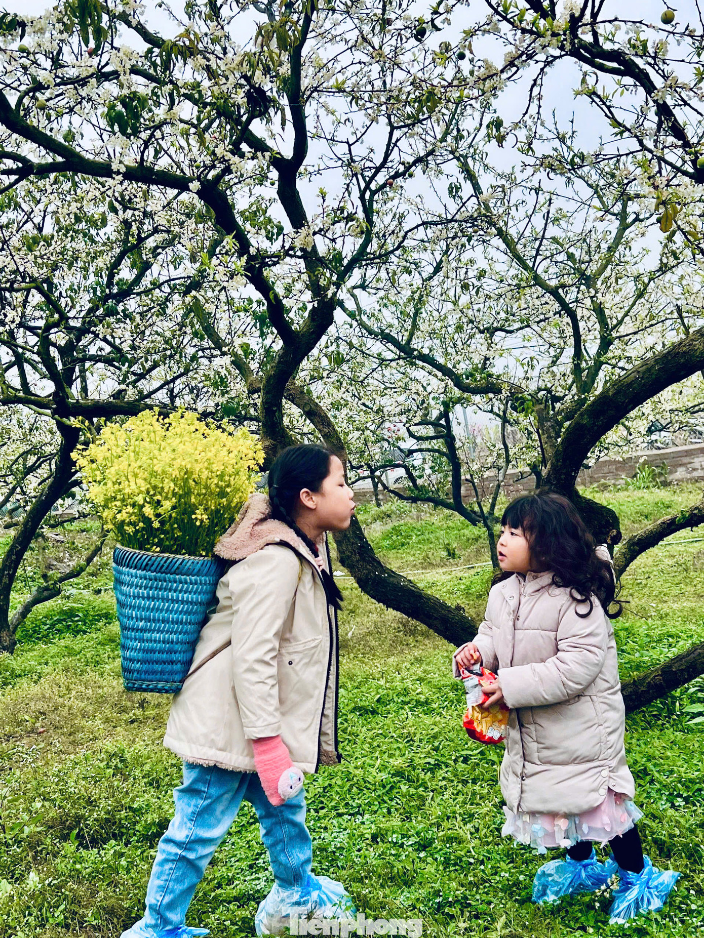 Các dịch vụ cho thuê trang phục dân tộc, gùi đựng hoa cũng được các chủ vườn chuẩn bị đầy đủ cho nhu cầu của khách hàng.