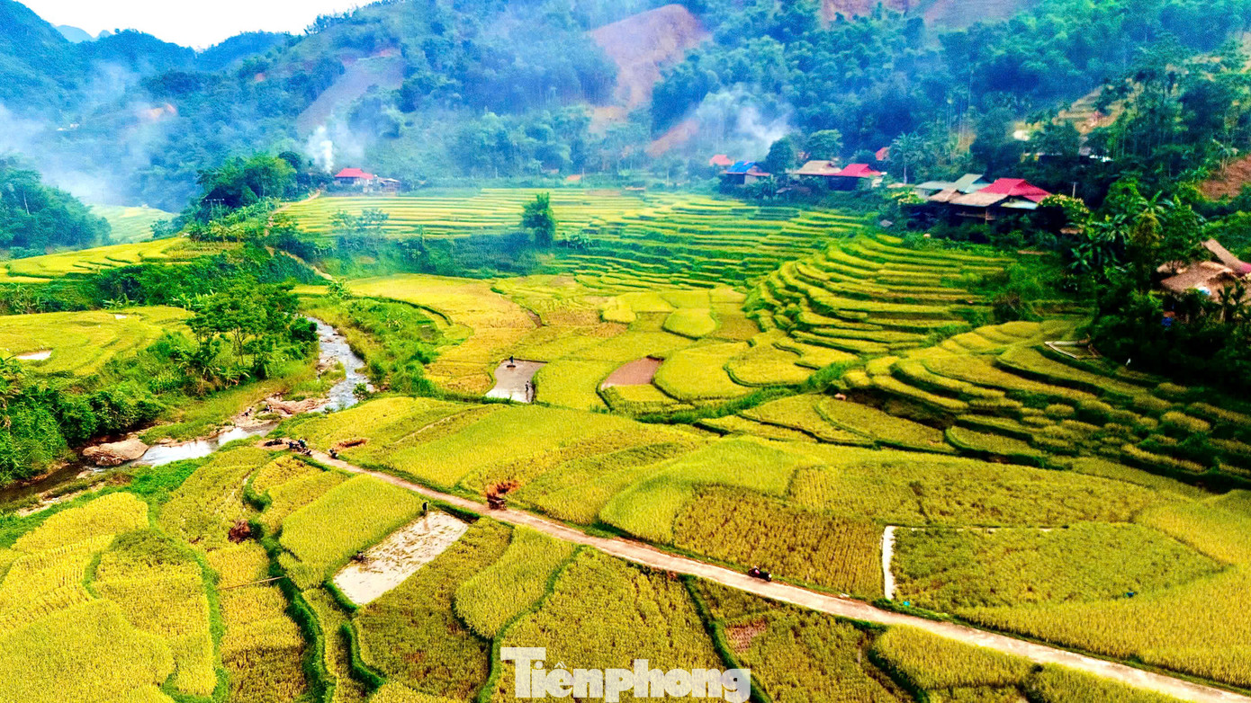 Vùng núi Pù Luông khí hậu mát mẻ, bao quanh bởi rừng nguyên sinh đan xen những thửa ruộng bậc thang đẹp như tranh vẽ vào mùa lúa chín. Đây cũng là điểm thu hút khách đến với Pù Luông những năm gần đây. Vùng núi Pù Luông khí hậu mát mẻ, bao quanh bởi rừng nguyên sinh đan xen những thửa ruộng bậc thang đẹp như tranh vẽ vào mùa lúa chín. Đây cũng là điểm thu hút khách đến với Pù Luông những năm gần đây.
