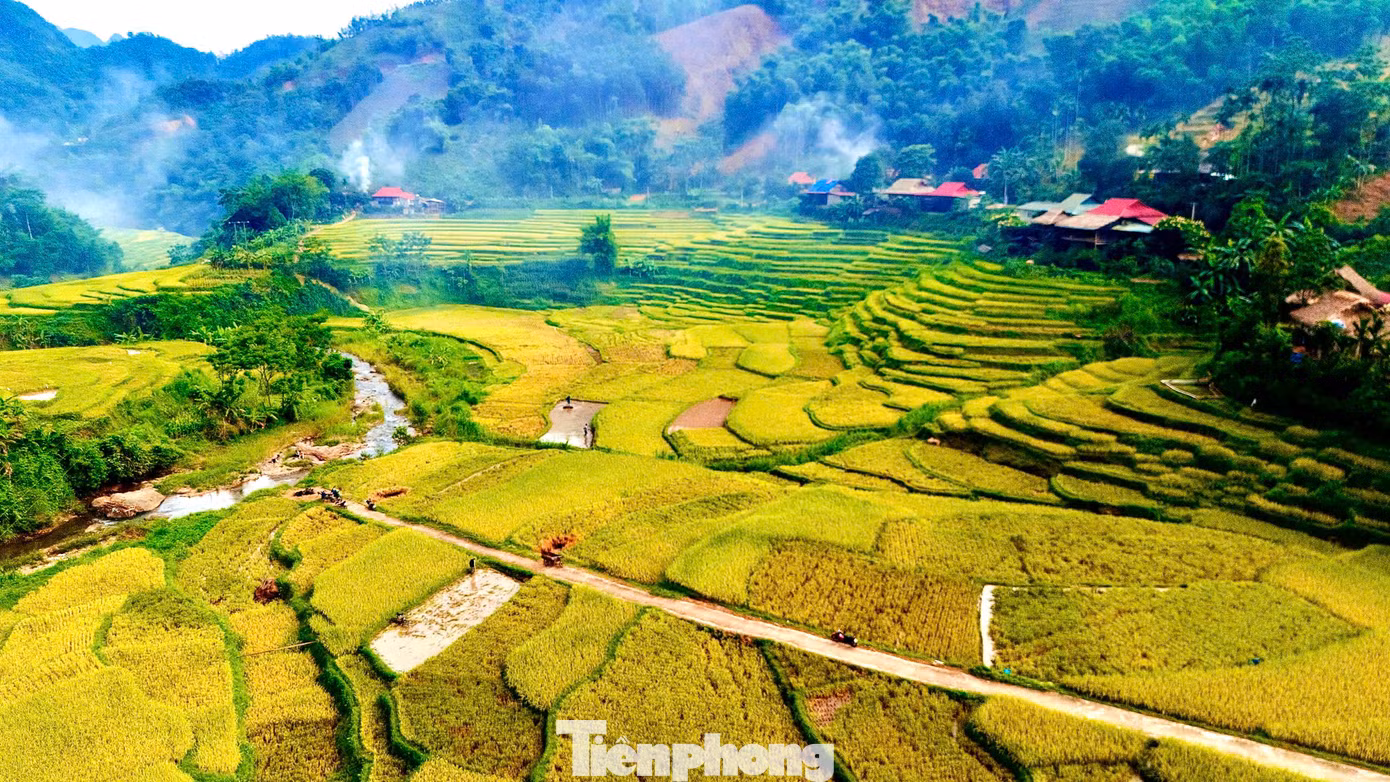 Vùng núi Pù Luông khí hậu mát mẻ, bao quanh bởi rừng nguyên sinh đan xen những thửa ruộng bậc thang đẹp như tranh vẽ vào mùa lúa chín. Đây cũng là điểm thu hút khách đến với Pù Luông những năm gần đây.