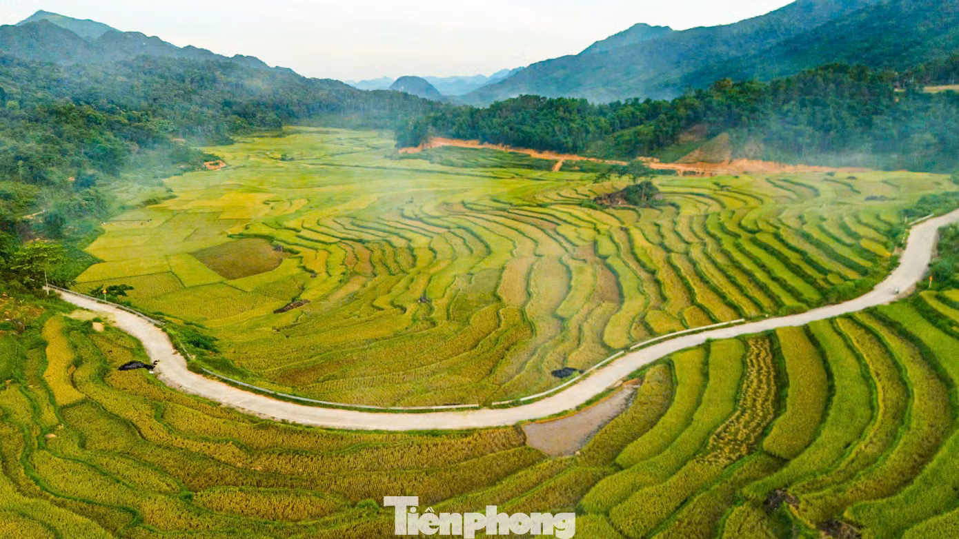 Tháng 6, lúa chín vàng trên những ruộng bậc thang thoai thoải ở Pù Luông, tạo nên bức tranh mùa vàng bắt mắt. Nằm ở phía tây bắc tỉnh Thanh Hóa, Pù Luông là khu bảo tồn thiên nhiên có diện tích 17.600 ha trải dài trên địa phận hai huyện Bá Thước và Quan Hóa.
