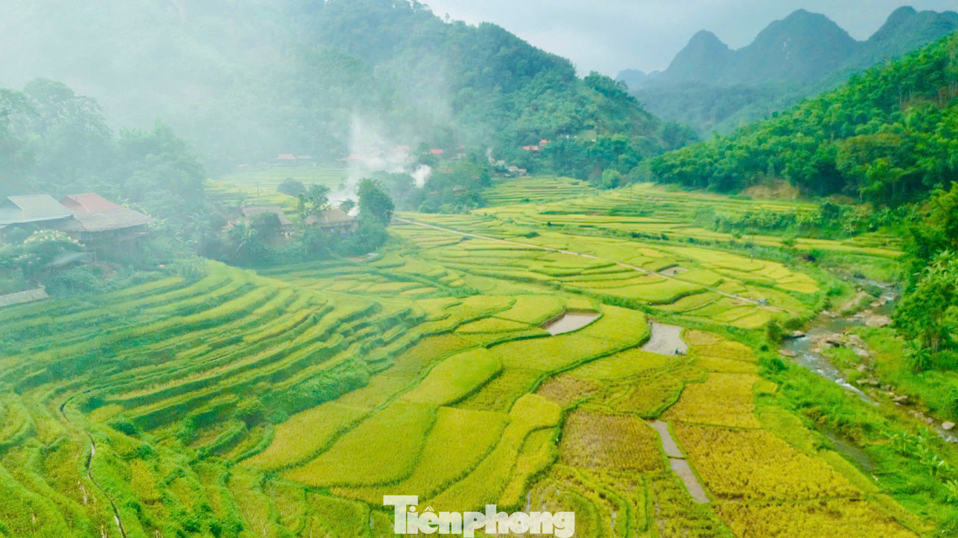 Ruộng bậc thang Pù Luông vào mùa lúa chín vàng rực, uốn lượn quanh triền núi như dải lụa óng ả giữa núi rừng Thanh Hóa. Ruộng bậc thang Pù Luông vào mùa lúa chín vàng rực, uốn lượn quanh triền núi như dải lụa óng ả giữa núi rừng Thanh Hóa.
