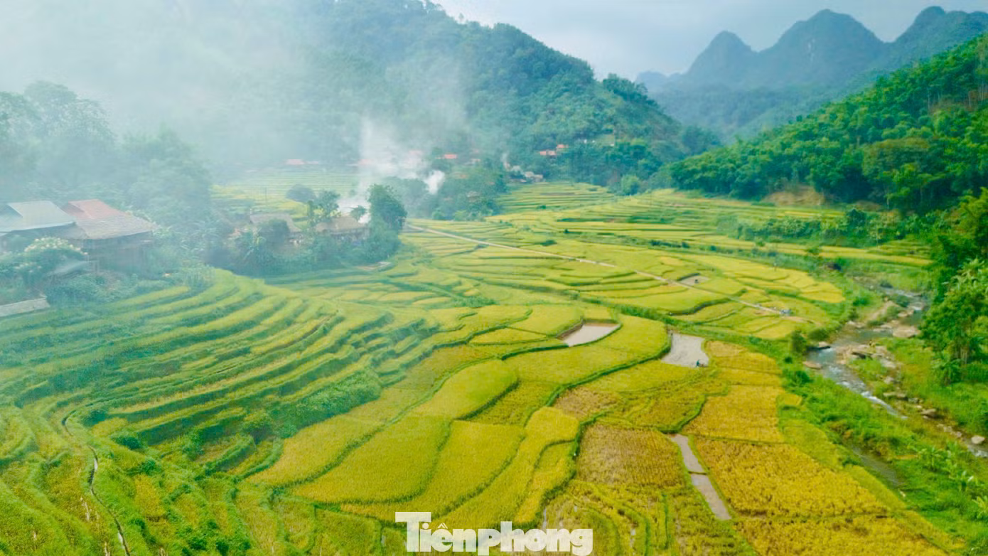 Ruộng bậc thang Pù Luông vào mùa lúa chín vàng rực, uốn lượn quanh triền núi như dải lụa óng ả giữa núi rừng Thanh Hóa.