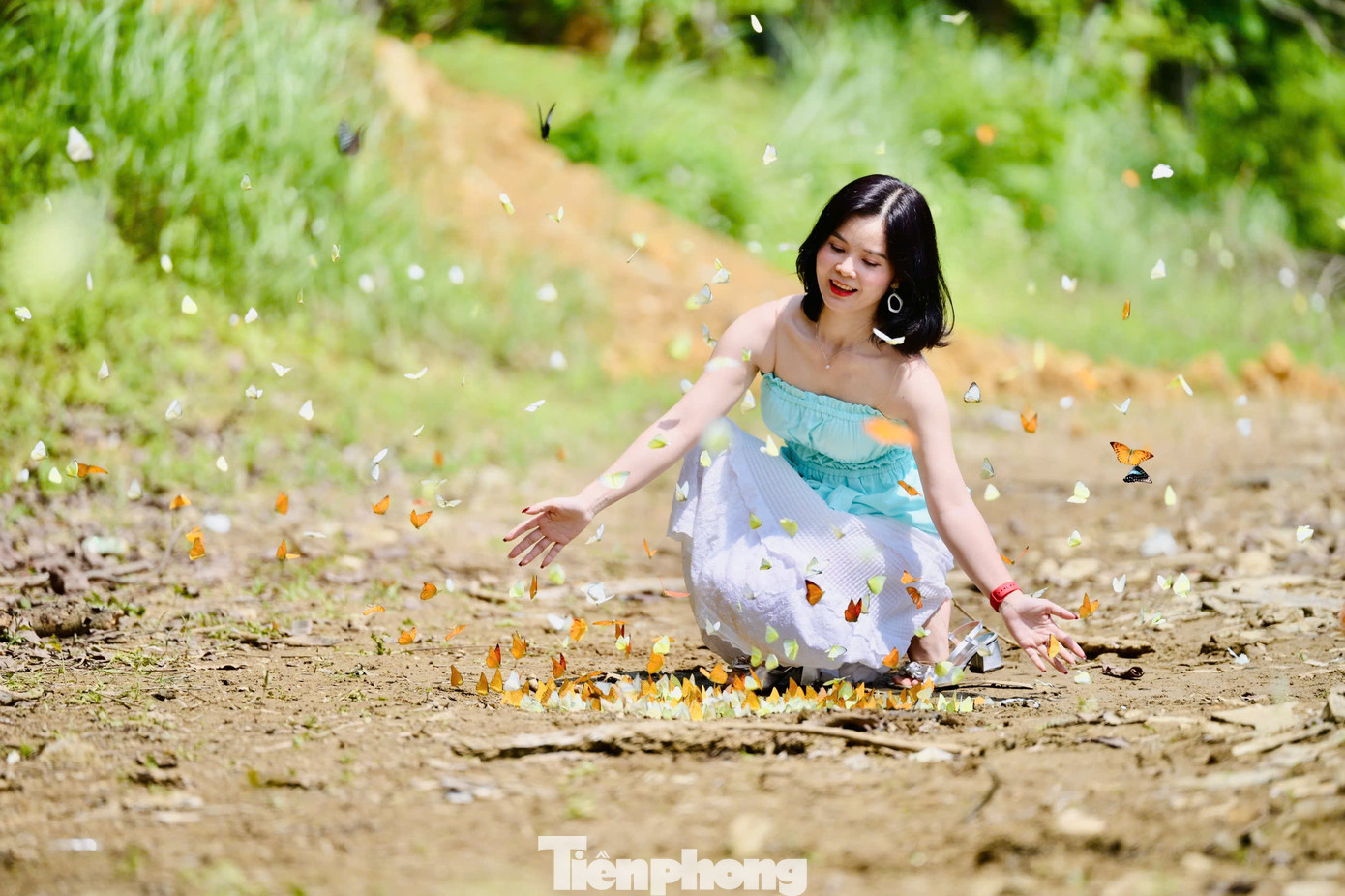 "Bướm rất thích nước ngọt và nước muối, hai loại đồ uống này giúp sự sinh trưởng và kích thích giao hợp của chúng nên du khách có thể đổ một chút ra đất, bướm sẽ tụ lại nhiều hơn", Huy Hoàng chia sẻ kinh nghiệm "săn" được bướm đẹp tại đây.