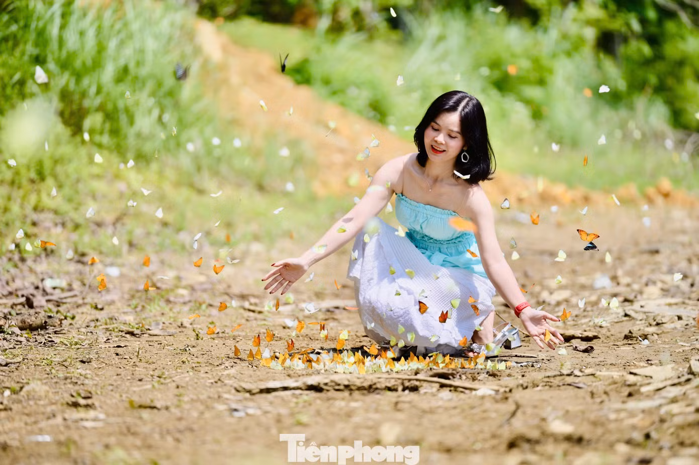 "Bướm rất thích nước ngọt và nước muối, hai loại đồ uống này giúp sự sinh trưởng và kích thích giao hợp của chúng nên du khách có thể đổ một chút ra đất, bướm sẽ tụ lại nhiều hơn", Huy Hoàng chia sẻ kinh nghiệm "săn" được bướm đẹp tại đây.