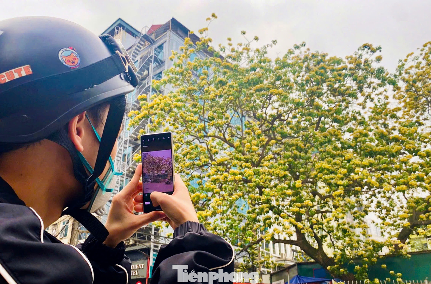 Mỗi dịp tháng 4 về khi hoa bung nở, nơi đây nhanh chóng biến thành điểm check-in hấp dẫn các bạn trẻ. Nhiều nhiếp ảnh gia cũng tranh thủ về đây để ghi lại những bức hình về loài hoa độc đáo này,