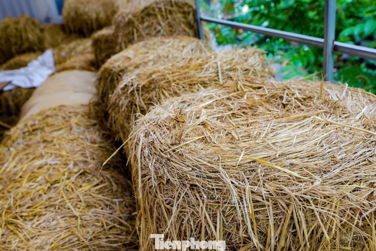 Nằm trên phố Huế sầm uất, một địa điểm có mặt tiền khiêm tốn nhưng bên trong là không gian rộng hơn 300m2. Mô hình cho thuê không gian làm việc ở ngay trung tâm Hà Nội với cách thu tiền theo giờ giống như… quán nét đang thu hút đông giới trẻ tìm đến làm việc, thư giãn.